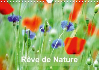 Couverture du livre « Reve de nature calendrier mural 2018 din a4 horizontal - paysages de nature et de fleur » de Thebault P aux éditions Calvendo