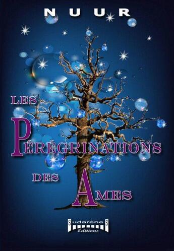 Couverture du livre « Les pérégrinations des âmes » de Nuur aux éditions Sudarenes