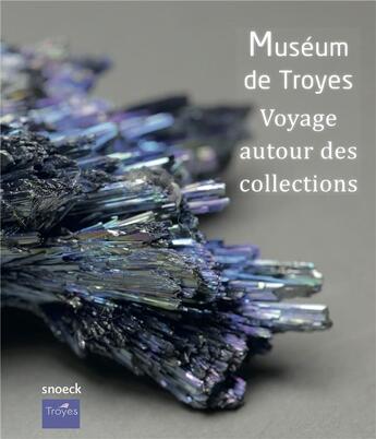 Couverture du livre « Museum de Troyes ; voyage autour des collections » de Celine Nadal aux éditions Snoeck Gent