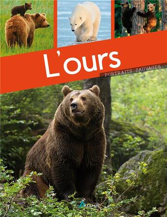 Couverture du livre « L'ours » de Maurice Duperat aux éditions Artemis