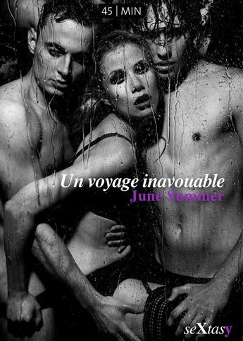 Couverture du livre « Un voyage inavouable » de June Summer aux éditions Numeriklivres