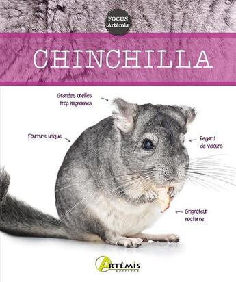 Couverture du livre « Chinchilla » de  aux éditions Artemis