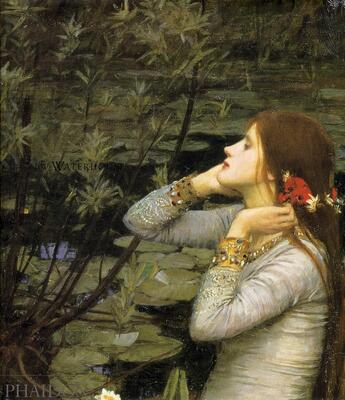 Couverture du livre « J. w. waterhouse » de Trippipeter aux éditions Phaidon