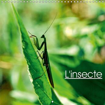 Couverture du livre « L univers des insectes calendr » de Thebault Patric aux éditions Calvendo