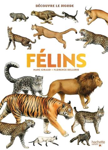 Couverture du livre « Félins » de Florence Dellerie et Marc Giraud aux éditions Hachette Enfants