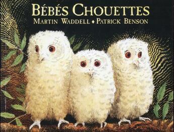 Couverture du livre « Bébés chouettes » de Patrick Benson et Waddell Martin aux éditions Ecole Des Loisirs