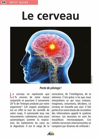 Couverture du livre « Le cerveau » de  aux éditions Aedis