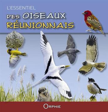 Couverture du livre « L'essentiel des oiseaux réunionnais » de Seor aux éditions Orphie