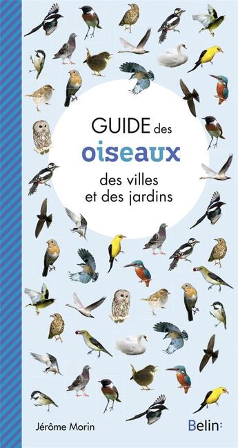 Couverture du livre « Guide des oiseaux des villes et des jardins » de Jerome Morin aux éditions Belin