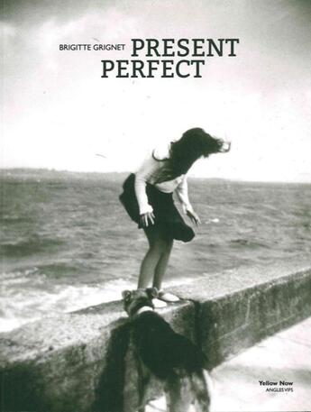 Couverture du livre « Present perfect » de Brigitte Grignet aux éditions Yellow Now