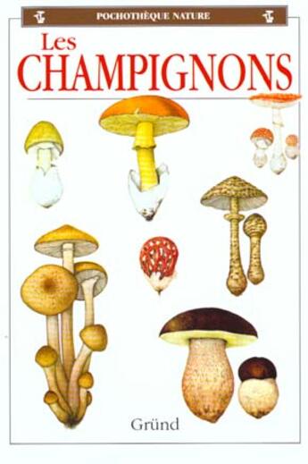 Couverture du livre « Les Champignons » de Luigui Fenaroli aux éditions Grund