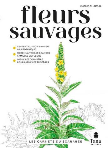 Couverture du livre « Fleurs sauvages » de Lucile Chapsal aux éditions Tana