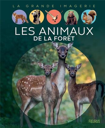 Couverture du livre « Les animaux de la forêt » de Emilie Beaumont aux éditions Fleurus