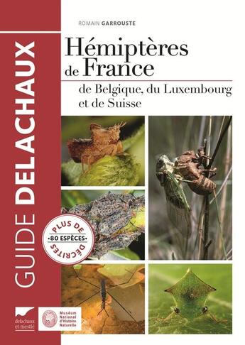 Couverture du livre « Hémiptères de France, de Belgique, du Luxembourg et de Suisse » de Romain Garrouste aux éditions Delachaux & Niestle