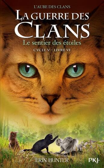 Couverture du livre « La guerre des clans - cycle 5 ; l'aube des clans Tome 6 : le sentier des étoiles » de Erin Hunter aux éditions Pocket Jeunesse