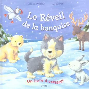 Couverture du livre « Le reveil de la banquise » de Ian Whybrow aux éditions Grund