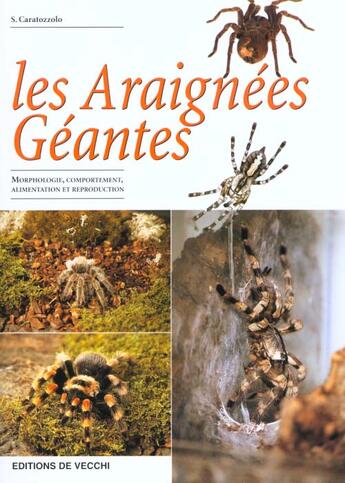 Couverture du livre « Les araignees » de Simone Caratozzolo aux éditions De Vecchi