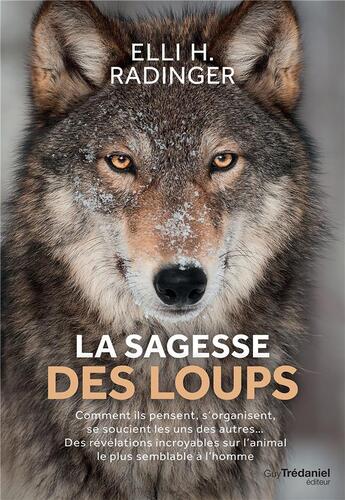 Couverture du livre « La sagesse des loups ; comment ils pensent, s'organisent, se soucient des autres... des révélations incroyables sur l'animal le plus semblable à l'homme » de Elli H. Radinger aux éditions Guy Trédaniel