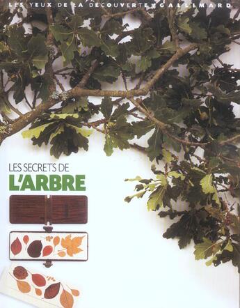 Couverture du livre « LES SECRETS DE L'ARBRE » de David Burnie aux éditions Gallimard-jeunesse