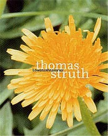 Couverture du livre « Thomas struth dandelion room » de Struth Thomas aux éditions Schirmer Mosel