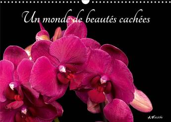 Couverture du livre « Un monde de beautes cachees calendrier mural 2020 din a3 horizontal - belles et colorees calendrier (édition 2020) » de Aurelie Fieschi aux éditions Calvendo