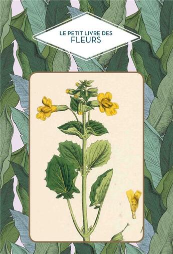 Couverture du livre « Le petit livre des fleurs » de Dominique Pen Du aux éditions Papier Cadeau