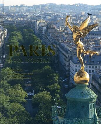 Couverture du livre « Paris à vol d'oiseau » de David Foenkinos et Basile Dell et Jeremie Lippmann aux éditions Gallimard-loisirs