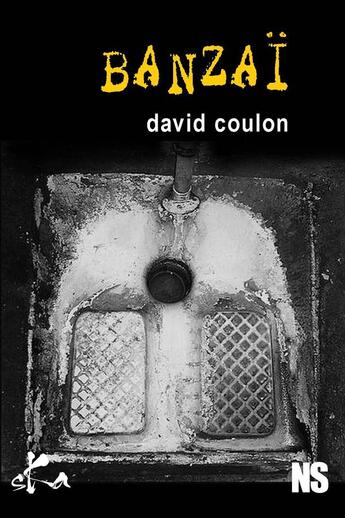 Couverture du livre « Banzaï » de David Coulon aux éditions Ska