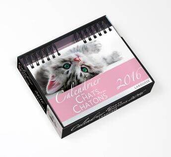 Couverture du livre « Chats et chatons ; calendrier (édition 2016) » de Brigitte Bulard-Cordeau aux éditions Larousse