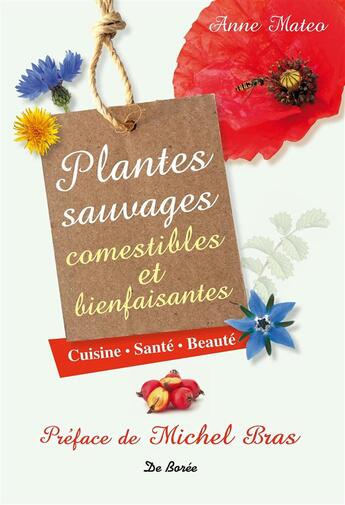 Couverture du livre « Plantes sauvages et bienfaisantes ; cuisine, santé, beauté » de Anne Mateo aux éditions De Boree