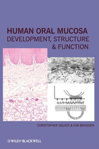 Couverture du livre « Human Oral Mucosa » de Christopher Squier et Kim Brogden aux éditions Wiley-blackwell