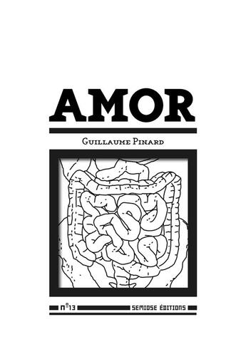 Couverture du livre « Amor » de Guillaume Pinard aux éditions Semiose