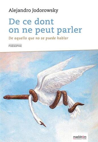 Couverture du livre « De ce dont on ne peut parler ; de aquello que no se puede hablar » de Alexandro Jodorowsky aux éditions Maelstrom