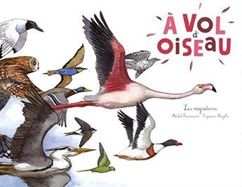 Couverture du livre « À vol d'oiseau ; les migrations » de Capucine Mazille et Michel Francesconi aux éditions Ricochet