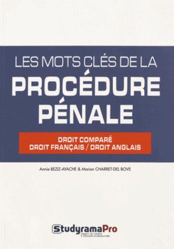 Couverture du livre « Les mots clés de la procédure pénale » de Annie Beziz-Ayache aux éditions Studyrama