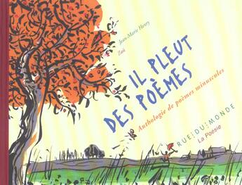 Couverture du livre « Il pleut des poèmes ; anthologie de poèmes minuscules » de Jean-Marie Henry aux éditions Rue Du Monde