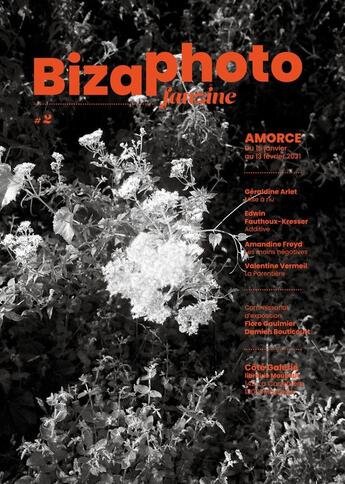 Couverture du livre « Biza photo fan zine n 2 - photographie d'aujourd'hui » de  aux éditions Arnaud Bizalion