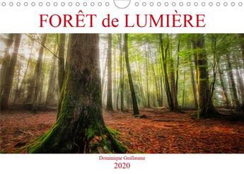 Couverture du livre « Forêt de lumière (Calendrier mural 2020 DIN A4 horizontal) ; Magie de l'ombre et de la lumière au c'ur de la forêt (Calendrier mensuel, 14 Pages ) » de Dominique Guillaume aux éditions Calvendo