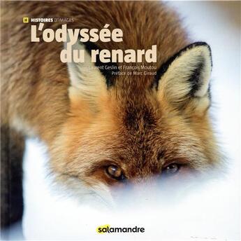 Couverture du livre « L'odyssée du renard » de Francois Moutou et Laurent Geslin aux éditions Editions De La Salamandre