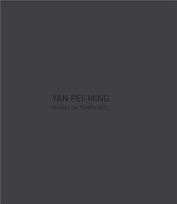 Couverture du livre « Ruines du temps réel » de Pei-Ming Yan aux éditions Les Presses Du Reel