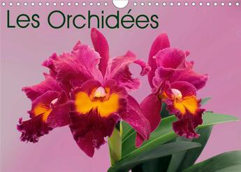 Couverture du livre « Les orchidees calendrier mural 2020 din a4 horizontal - les orchidees exotiques calend (édition 2020) » de Monarchc K.A. aux éditions Calvendo