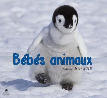 Couverture du livre « Calendrier bébés animaux (édition 2018) » de  aux éditions Place Des Victoires