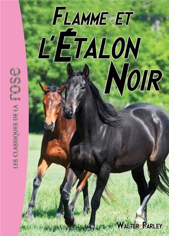 Couverture du livre « L'étalon noir t.17 ; Flamme et l'étalon noir » de Walter Farley et Steven Farley aux éditions Hachette Jeunesse