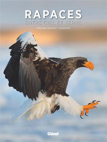 Couverture du livre « Rapaces, entre ciel et terre » de Christian Couloumy aux éditions Glenat