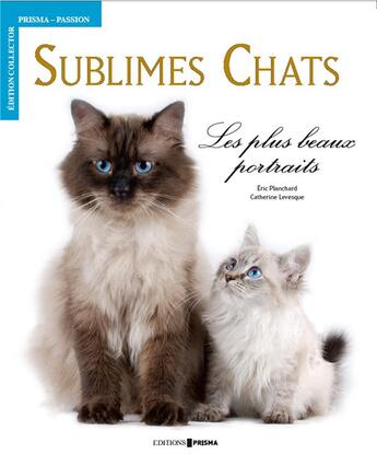 Couverture du livre « Sublimes chats ; les plus beaux portraits » de Catherine Levesque et Eve Planchard aux éditions Prisma Passion