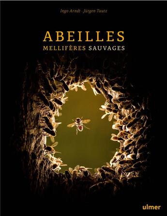 Couverture du livre « Abeilles mellifères sauvages » de Ingo Arndt et Jurgen Tautz aux éditions Eugen Ulmer
