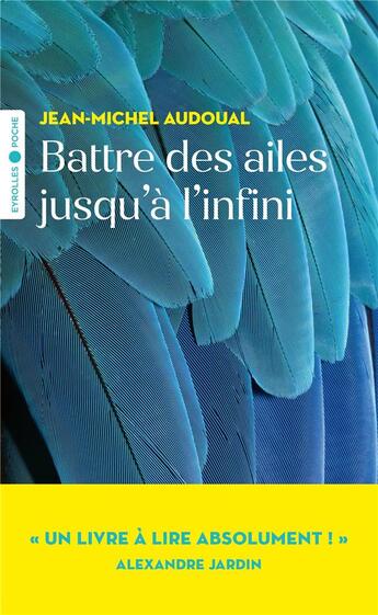 Couverture du livre « Battre des ailes jusqu'à l'infini » de Jean-Michel Audoual aux éditions Eyrolles