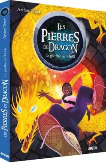 Couverture du livre « Les pierres de dragon Tome 2 : le gouffre de l'oubli » de Arthur Tenor et Vidal Orial aux éditions Auzou