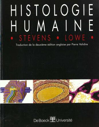 Couverture du livre « HISTOLOGIE HUMAINE » de Alan Stevens et James Lowe aux éditions De Boeck Superieur