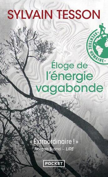 Couverture du livre « L'éloge de l'énergie vagabonde » de Sylvain Tesson aux éditions Pocket